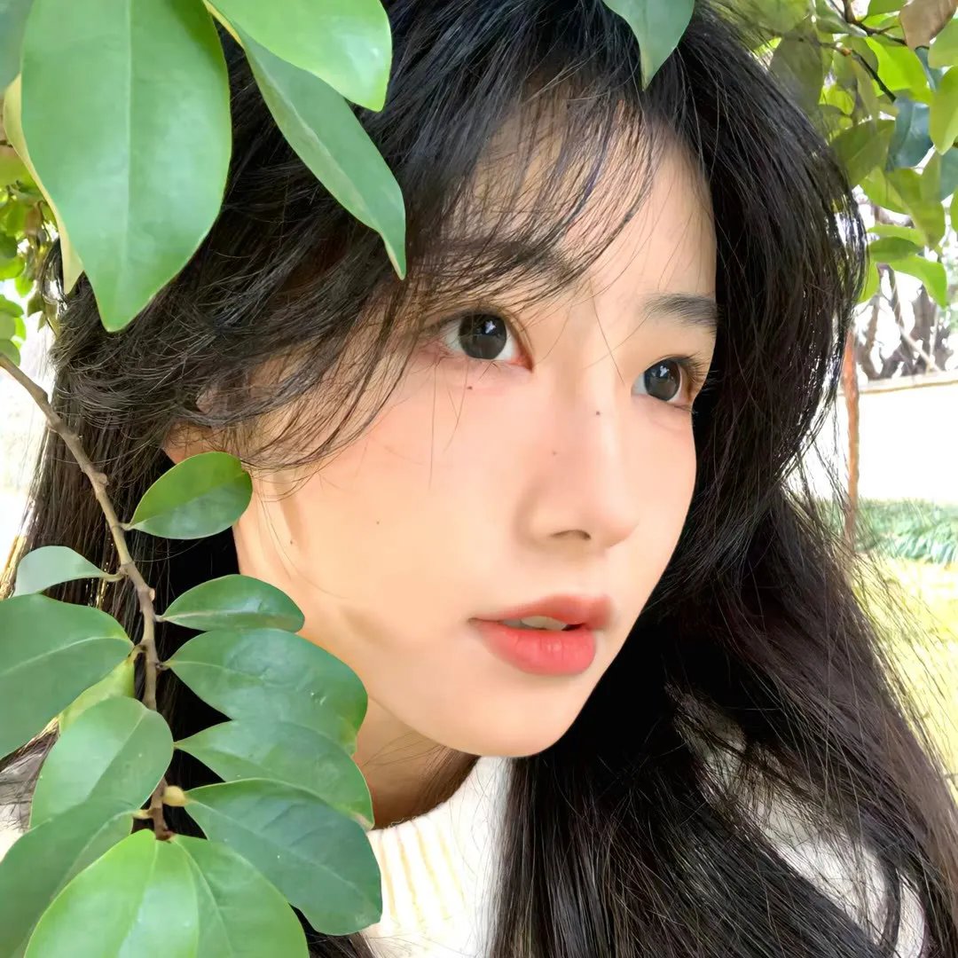 迁徙