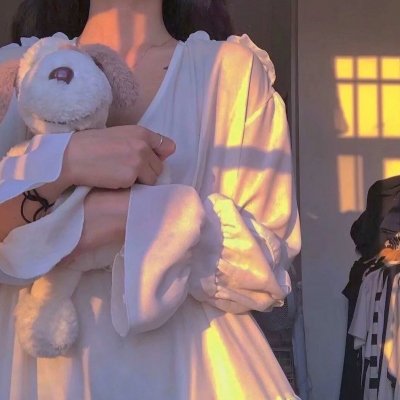 狐狸的夏天2